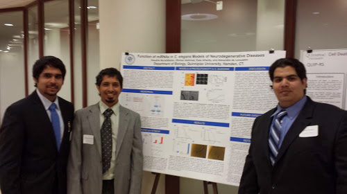 Neuron 2014 Conference